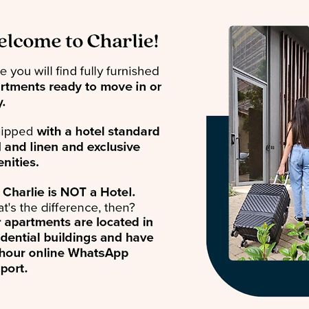 Charlie Dstay Moema 圣保罗 外观 照片